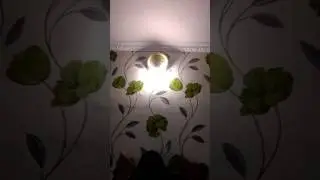 гостиница ЛОРД