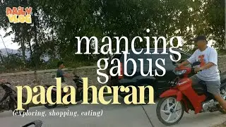 mancing gabus dapat anak monsternya