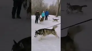 Праздник Хей-Хей 😁 нам 13 лет 🥂