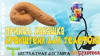Кронштейн для телефона+Какашка прикол Посылка с AliExpress