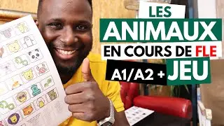 Les animaux en cours de FLE : vocabulaire + jeux.