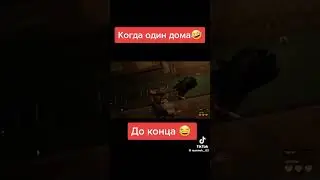 28 августа 2024 г.
