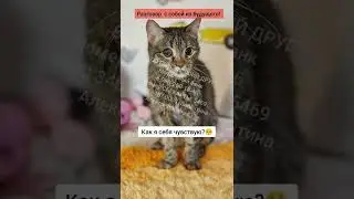 Видео 18+! Эсмеральда, ты прошла большой и сложный путь! Пусть теперь будет только счастье!❤