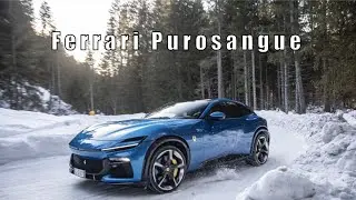 2023 Ferrari Purosangue. Porsche Cayenne Turbo GT x2!