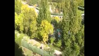 Amazing Paper Airplane Throw