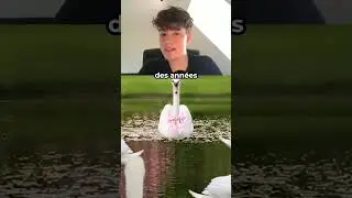animals that die of love