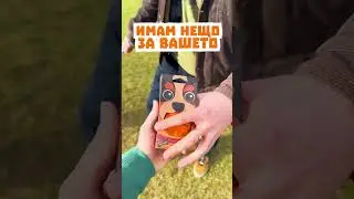 Как се казва КУЧЕТО ти?