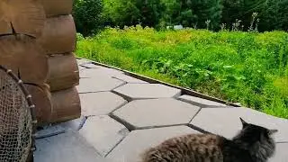 Как проходит наше лето. Видео без монтажа😁