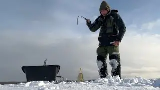 ОПУСТИЛИ КАМЕРУ ПОД ЛЁД, А ТАМ РЫБА ВМЕСТО ДНА! ПЕРВЫЙ ЛЁД 2024