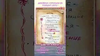 Цветок 🌺 жизни #art #дух #shortvideo #духовность #жизнь #мудрость #сила #foryou #shorts