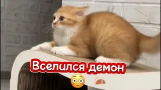 Как вселяются демоны 👹 
