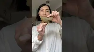 Kashiwa Mochi 