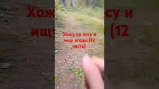(12 часть) #гномы #тренд #существа #рыцари #тренды