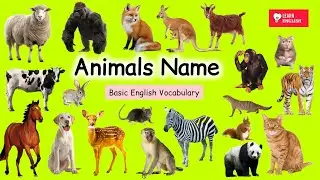 Animals Name | Learn Animals Name in English |kids educational video English Learning #Animals #kids