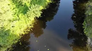 Полет над рекой.Река Усманка. DJI GO