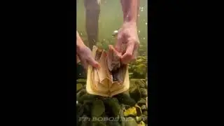 Under water minning