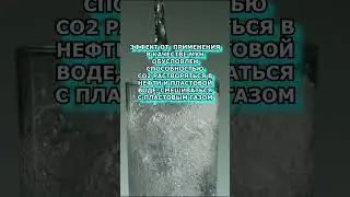 УГЛЕРОДНЫЙ МЕНЕДЖМЕНТ #shorts #экология #co2
