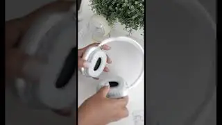 Temu Dupes