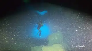 Buceo de Domingo 17 -7- 2022