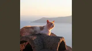 Fur Smoothes with Waves