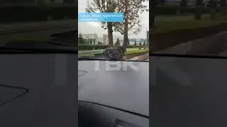 Голубь решил прокатиться с ветерком