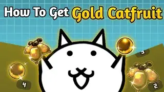 How To Get 