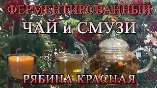 Чай из листьев рябины и смузи из ягод