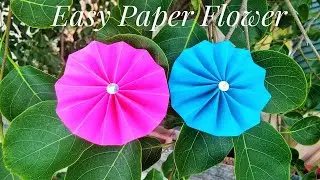 Easy Paper Flower | DIY Flower Making | Paper Crafts| Home Decor | Color Paper Crafts