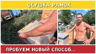 Как правильно и легко осушить откачанные рамки?