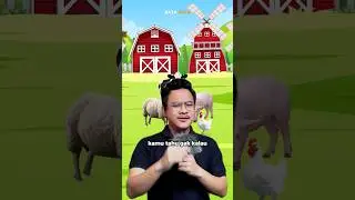 Hewan yang sering kamu makan ini hasil domestikasi!