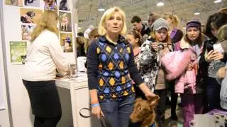 Международная выставка собак всех пород 2-3 февраля 2013