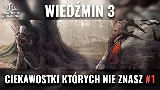 Wiedźmin 3 : Ciekawostki których nie znasz #1