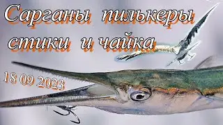 Сарганы пилькеры стики и чайка