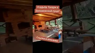 Усадьба Токари в Беловежской пуще! #рекомендации #природа #домотдыха