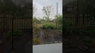 вот так погодка...