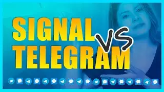 Signal ou Telegram: Qual Melhor e Mais Seguro? Comparativo Completo
