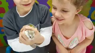 Наши хомячки. Знакомтесь...
