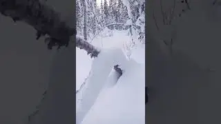Снежные чудеса