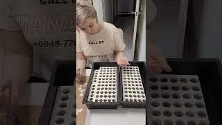 ПОСЕЯЛА ПЕТУНИЮ🌺 ЖДЕМ ЛЕТО😉