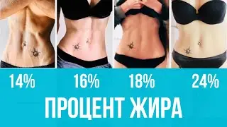 Насколько я жирная? Сухой пресс, процент жира, и чем придется расплачиваться.