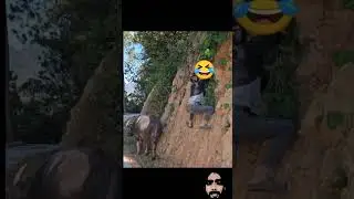 wait for end #funny #shortfeed #viral #ytshorts