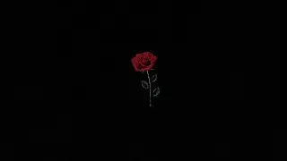 Айкап. INMAR. Грешник - Стандарт качества