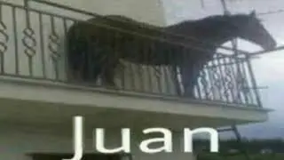 Juan (15 Minutes)