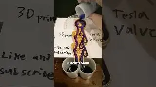 Tesla Valve 