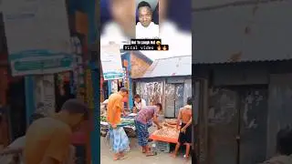 Try Not To Laugh 🤭 Challenge 58 #shorts #funny #comedy