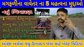 ​મગફળીનો ૧૦૦% ઉગાવો મેળવવા માટે વાવેતરના ૫ ગોલ્ડન નિયમો | Groundnut Sowing Tips