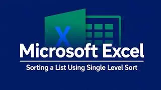 Microsoft excel sorting a list using single level sort video - 27