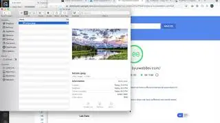 Image Optimization for Web Pages