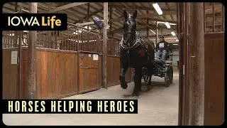 Horses Helping Heroes | Iowa Life