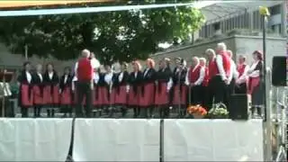 20100516-iamis-525.mp4